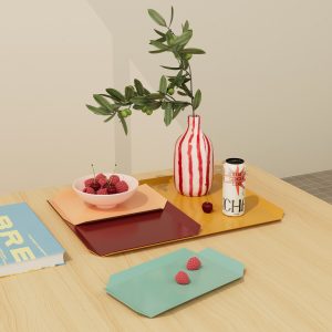 מגש מתכת 2 גדלים ג׳ינג׳ר צבעי בירדוקס